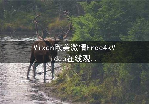 Vixen欧美激情Free4kVideo在线观看 - 当禁忌之恋撞上4K超清感官风暴