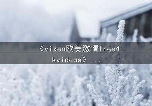 《vixen欧美激情free4kvideos》- 在线观看HD中字完整无删 - 当欲望撕开伪装的面具