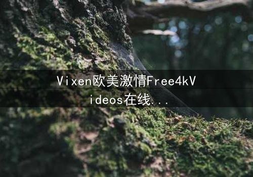 Vixen欧美激情Free4kVideos在线观看 - 当禁忌之恋撞上4K极致画质