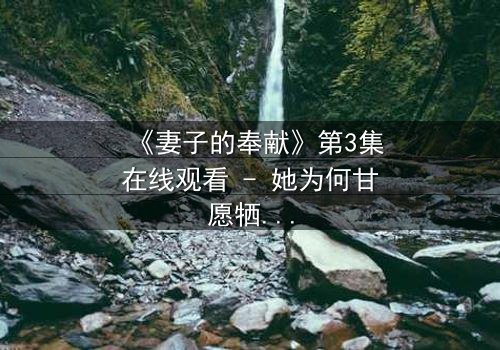 《妻子的奉献》第3集在线观看 - 她为何甘愿牺牲一切?