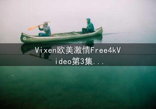 Vixen欧美激情Free4kVideo第3集在线观看 - 当欲望成为致命陷阱
