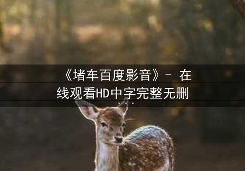 《堵车百度影音》- 在线观看HD中字完整无删 - 当城市静止,人性在车轮上燃烧