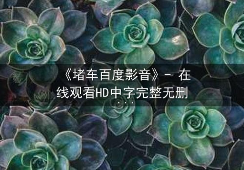 《堵车百度影音》- 在线观看HD中字完整无删 - 当城市停滞,人心何去何从?