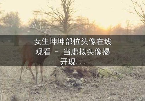 女生坤坤部位头像在线观看 - 当虚拟头像揭开现实秘密,你敢直视吗?