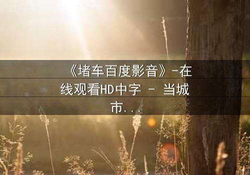 《堵车百度影音》-在线观看HD中字 - 当城市瘫痪,人心何去何从?