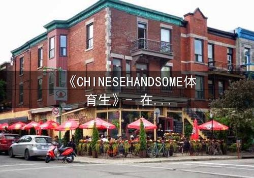 《CHINESEHANDSOME体育生》- 在线观看HD中字 - 当汗水与颜值碰撞出致命诱惑