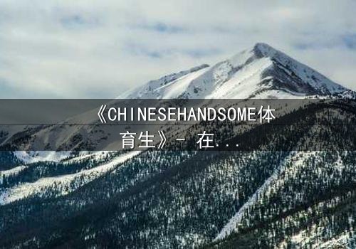 《CHINESEHANDSOME体育生》- 在线观看HD中字 - 当汗水与颜值碰撞出致命诱惑
