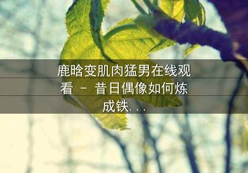 鹿晗变肌肉猛男在线观看 - 昔日偶像如何炼成铁血硬汉?