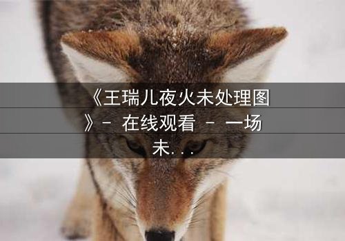 《王瑞儿夜火未处理图》- 在线观看 - 一场未解之谜的视觉风暴