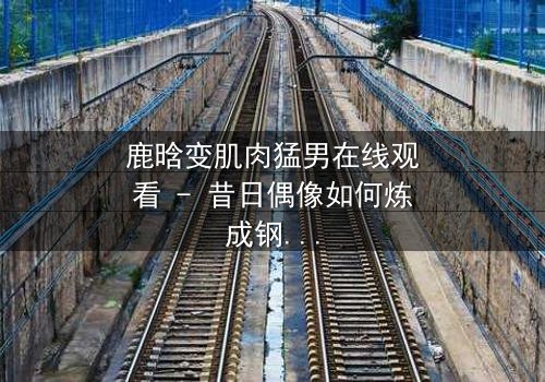 鹿晗变肌肉猛男在线观看 - 昔日偶像如何炼成钢铁之躯?