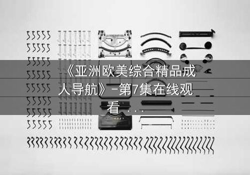 《亚洲欧美综合精品成人导航》-第7集在线观看 - 完整无删HD中字免费