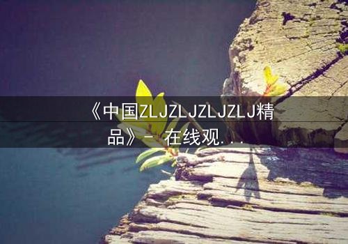 《中国ZLJZLJZLJZLJ精品》- 在线观看 - 一场跨越时空的绝密对决