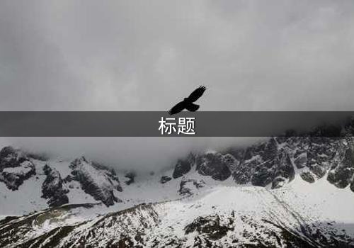 标题