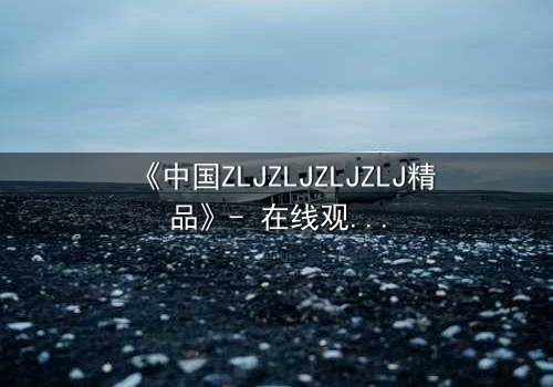 《中国ZLJZLJZLJZLJ精品》- 在线观看 - 一场颠覆命运的绝密对决