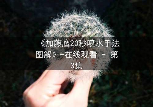 《加藤鹰20秒喷水手法图解》-在线观看 - 第3集
